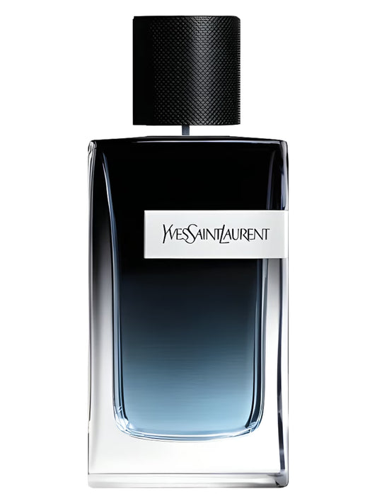 YSL - Y